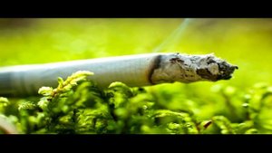?  Я в весеннем лесу пил берёзовый сок... -  Сергей Орехов
