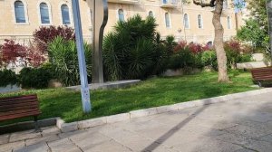 Абсолютно бесценное, уникальное, редкое и неповторимое - в ваших посылках из Святого Иерусалима