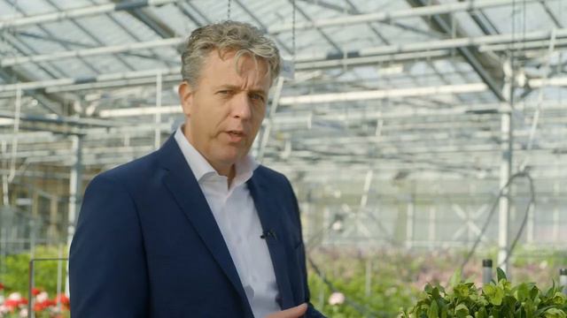 Cut flower introductions 2022- Helleborus смотреть онлайн