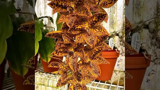 13 июля 2022 г. смотреть онлайн