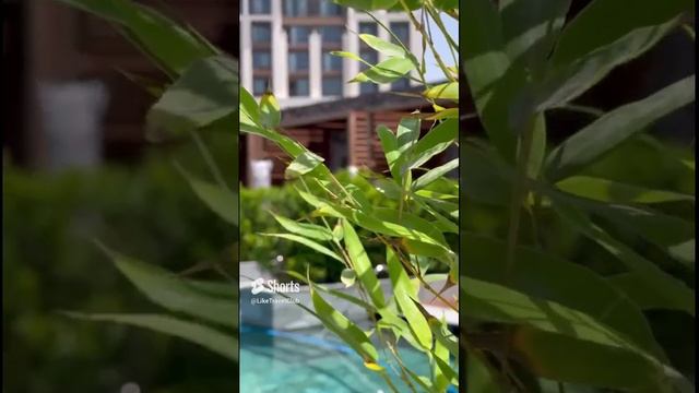 Обзор отеля CULLINAN GOLF RESORT 5_ от Like Travel Club _ БЕЛЕК shorts смотреть онлайн