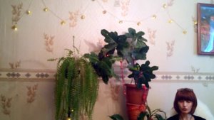 Техника "Тишина ума" по методу саморегуляции Ключ Х.Алиева