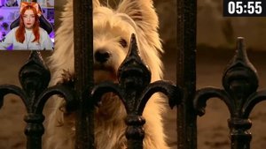 ?10 Минут Бесполезной информации о GTA 5 King Dm ( Кинг Дм ) Реакция