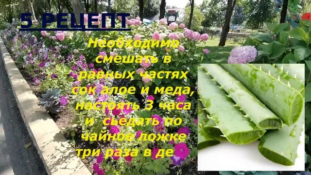ДОСТУПНЫЕ РЕЦЕПТЫ ДЛЯ ПОХУДЕНИЯ И ОЧИЩЕНИЯ
