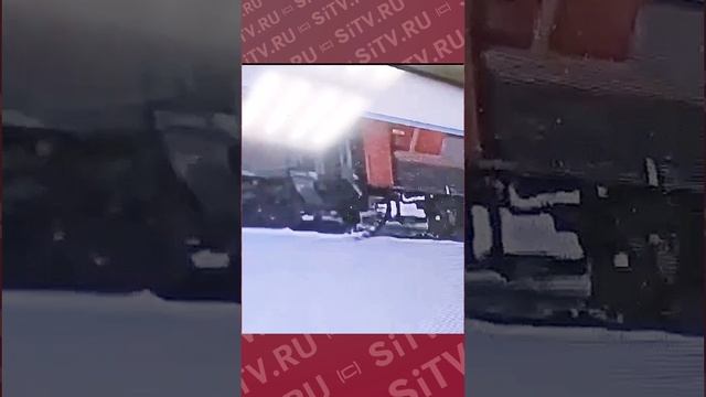 Кот по имени Твикс стал жертвой жестокого поступка проводницы в поезде в Кирове