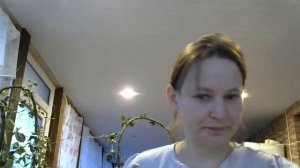 черенкование дипладении