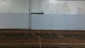 Техника спринта