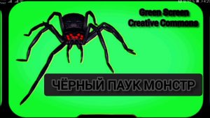 Чёрный паук видео Green Screen футаж. Хромакей анимация монстр на зелёном фоне.
