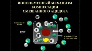 Лекция Экстремальные состояния (шоки, комы, коллапс)