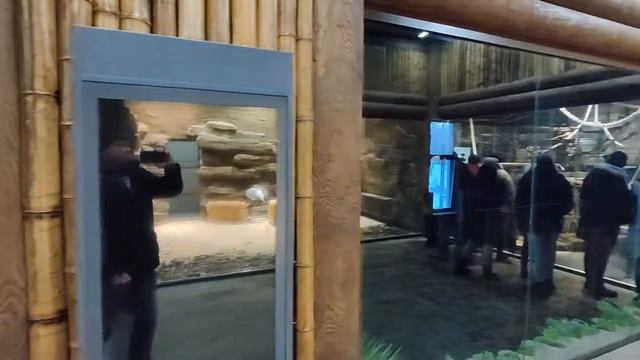 Вечер в Харьковском зоопарке смотреть онлайн