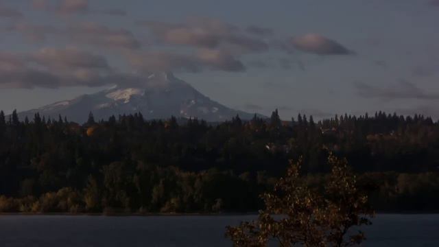 Habitat Teaser смотреть онлайн