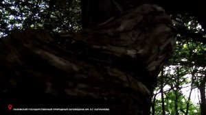 Приморье. Поехали! Заповедники Приморья.