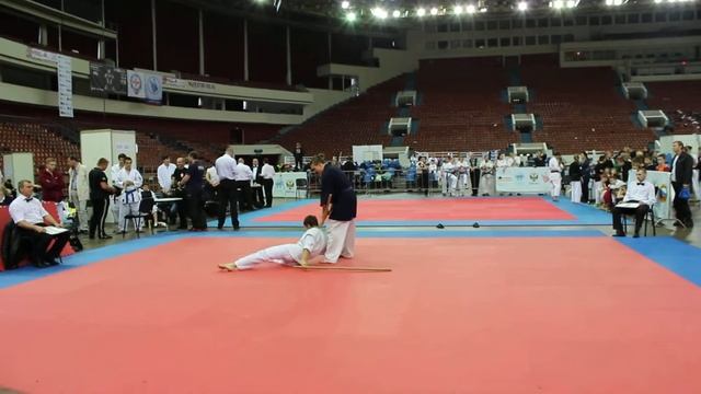 VIII Олимпиада боевых искусств "Восток-Запад" 2014 (7) смотреть онлайн