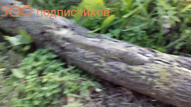 Обзор на дачу смотреть онлайн