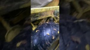 Вездеход лесоход, кубота. Видеообзор.