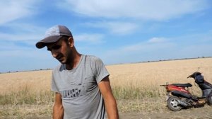 Арбуз херсонщины #5  Подкормка, Удобрение и опрыскивание Талисман Ф1