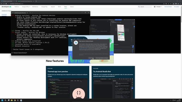 Flutter auf Windows installieren
