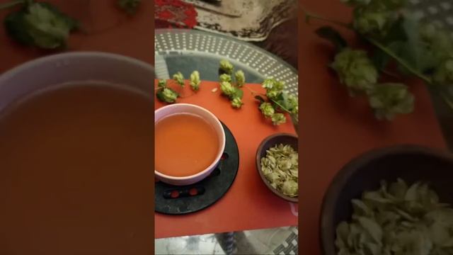 Натуральная Краска для Волос, Шампунь, Кондиционер и Средство для РостаВолос - из Обычного Сорняка!