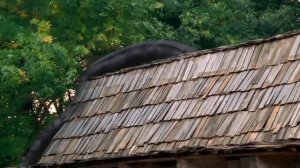 Anaconda 3 Wildest Moments! | Anaconda 3: Offspring