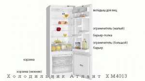 Холодильник АТЛАНТ ХМ 4013