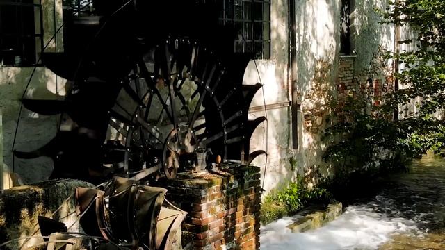 Forest Insomnia Therapy / Журчание ручья для сна и расслабления смотреть онлайн