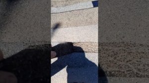 Наплавляемая кровля на старую крышу без праймера.