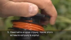 Заправка косильной головки STIHL Autocut 25-2