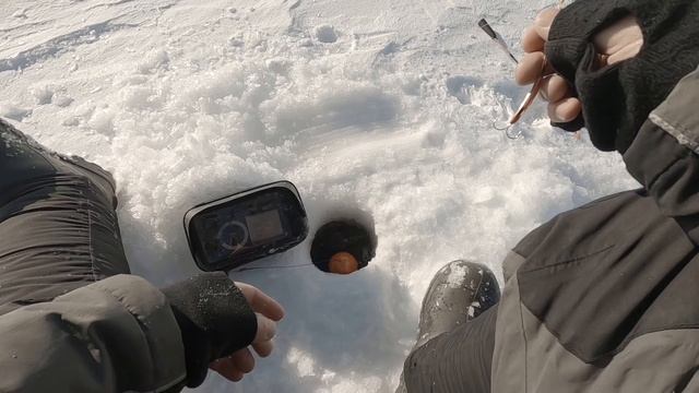 Ловля сига на голую блесну без подсадки. 7 сигов с одной лунки! Рыбалка в Карелии 2021 смотреть онлайн