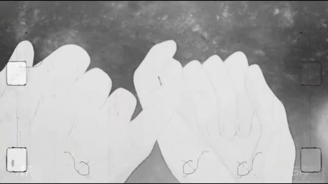 найтивыход - киты умирают в лужах бензина. смотреть онлайн