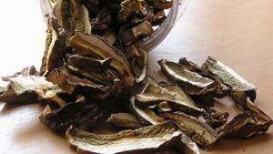 Как сушить баклажаны, чтобы были как грибы рецепт приготування в описах