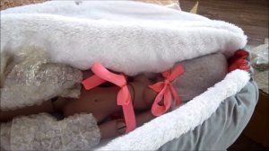 Распаковка куклы BJD, Lillycat (Cerisedolls) -Ellana