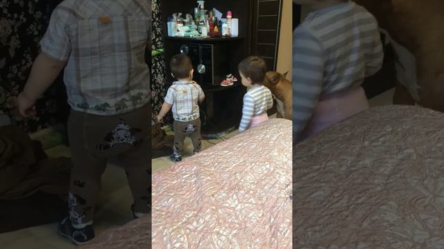 Стафф и Двойня песни поют смотреть онлайн