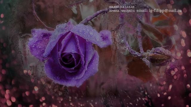 Видеозарисовка. Мне нравится, что вы... смотреть онлайн