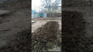 Посадка клубники, подготовка почвы