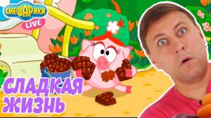 Приложение СМЕШАРИКИ СЛАДКАЯ ЖИЗНЬ - Никита ИГРАЕТ!