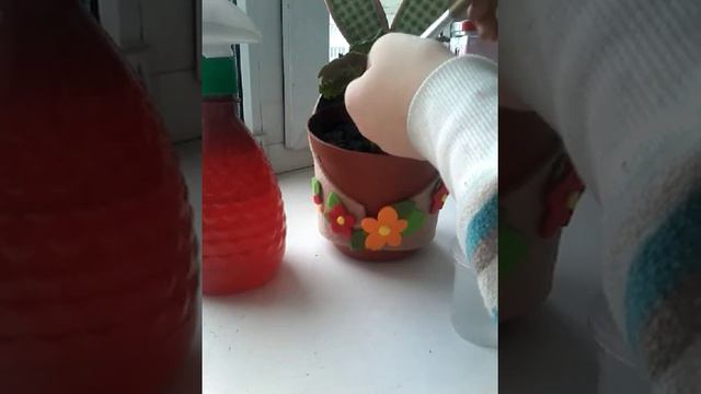 Как надо ухаживать за домашними ростениями смотреть онлайн