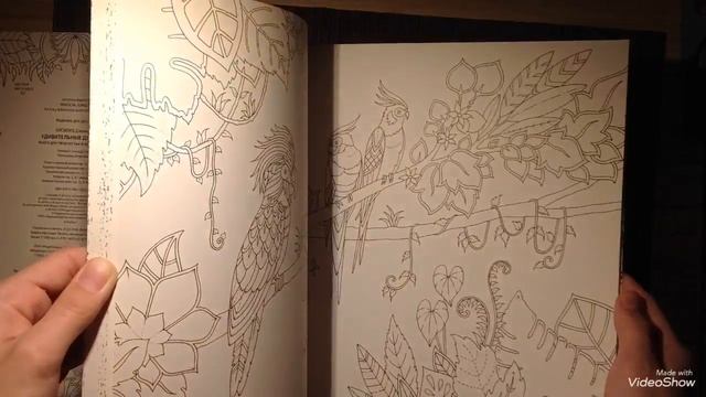 Удивительные джунгли|Обзор раскраски антистресс|Джоанна Бэсфорд|Мой сайт|Валерия Арт смотреть онлайн