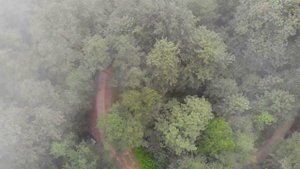 Звуки природы - лес в провинции Мазандеран (Иран)