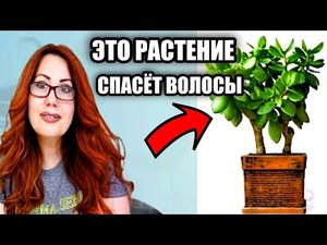 Бесплатно! Это есть у всех! Мощное Средство от Облысения! Быстрый рост Густых волос!