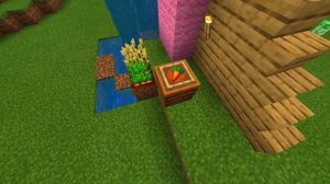 LEGO Minecraft The Pig House set 21170 in Minecraft