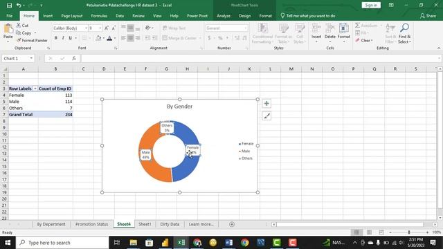 HR Dataset Dashboard using Excel with Anietie Etuk