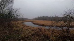 УЕХАЛ ЖИТЬ В ЗАБРОШЕННЫЙ ДОМ