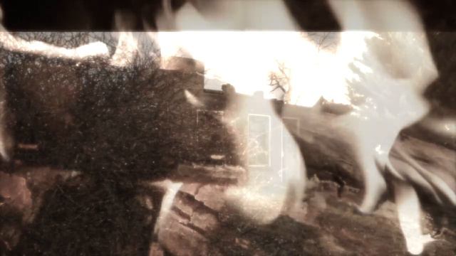 Eric Taquino & Doug Brown - Dodged a Bullet смотреть онлайн