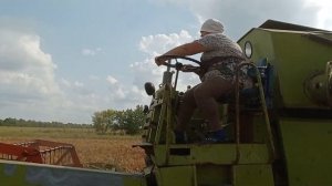 Прямое комбайнирование проса супер мини комбайн CLAAS