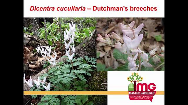 Growing Season - Got Shade? смотреть онлайн