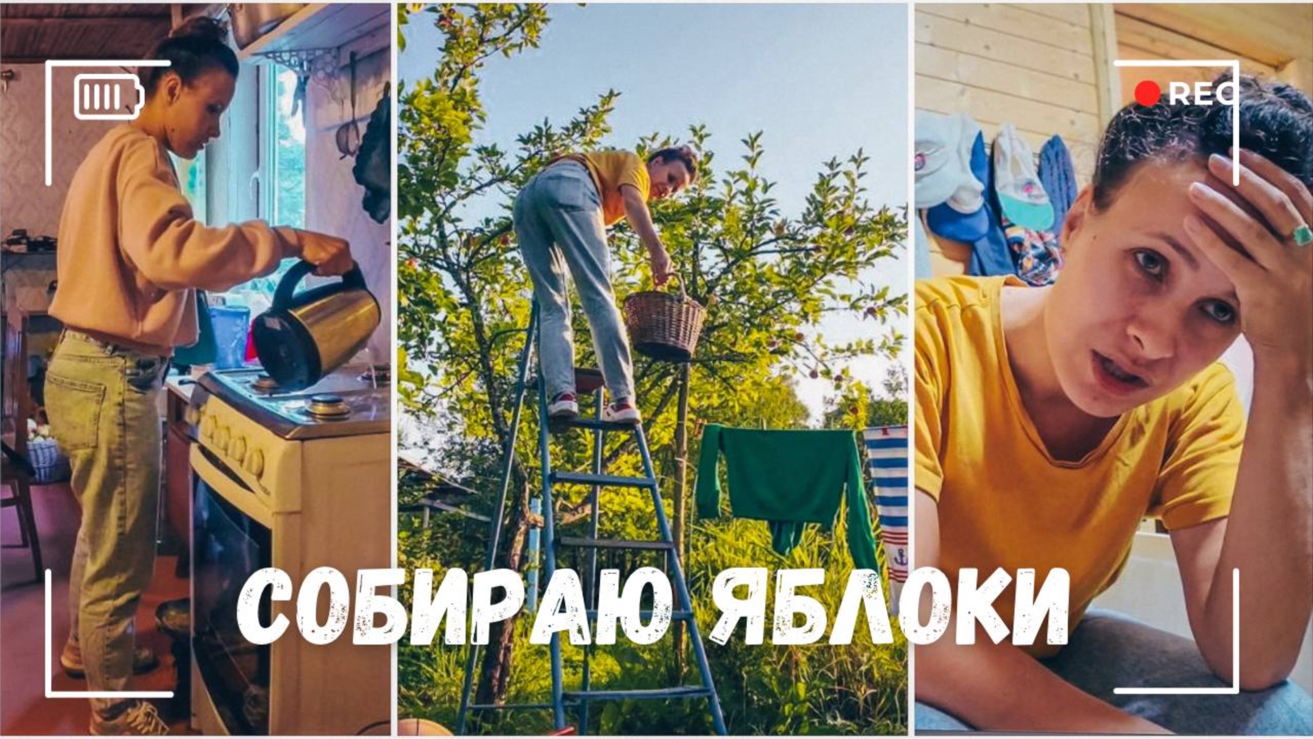 ВЛОГ: Адекватная ли это цена? | Мощная гроза | Собираю яблоки | Скучаю по дому 22.08.24
