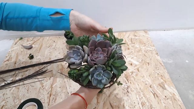 Букет из суккулентов. Часть 2. смотреть онлайн
