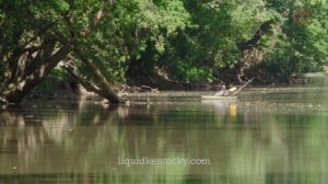 Solo Fishing on Hinkston Creek KY as featured on Downstream