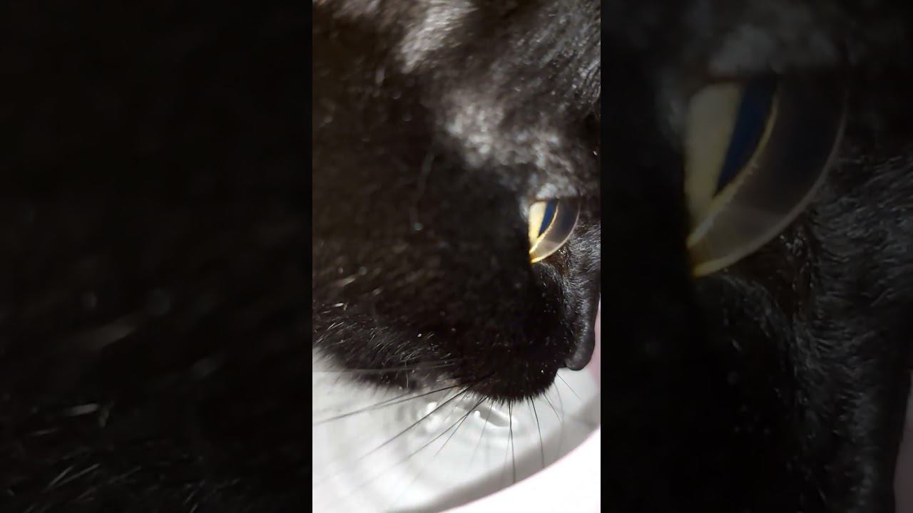 Хлюп смотреть онлайн