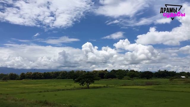 Жена изменяла при детях! Ей не мешало! Нашел этого сопляка… | Драмы Судьбы - Измена Жены смотреть онлайн